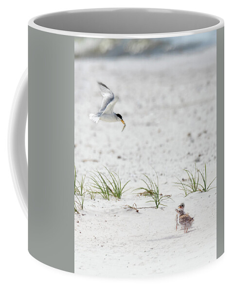 Bird Coffee Mug featuring the photograph Express Air by Susan Rissi Tregoning