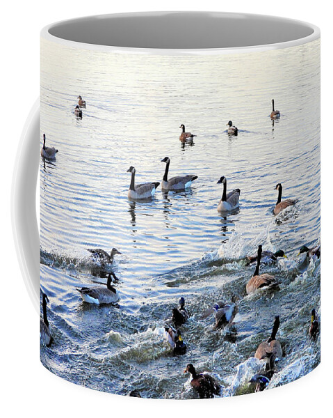 Drake Coffee Mug featuring the photograph Faceoff by Scott Cameron