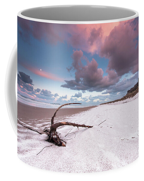 Landscape Coffee Mug featuring the photograph Fairy Tale Castle with snow on the beach by Anita Nicholson