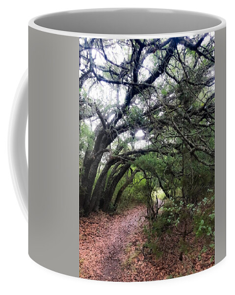 Landscape Coffee Mug featuring the photograph Fairytale Lane by Kelly Thackeray