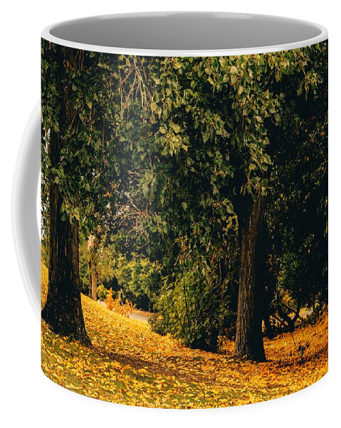 Fall Coffee Mug featuring the photograph Fall by Anamar Pictures