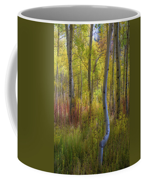 Aspens Coffee Mug featuring the photograph Fall Color Abstracts by Janet Kopper