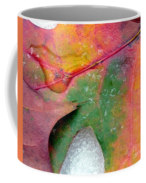 Autumn Coffee Mug featuring the photograph Fall Color and Snow by Amy Dundon