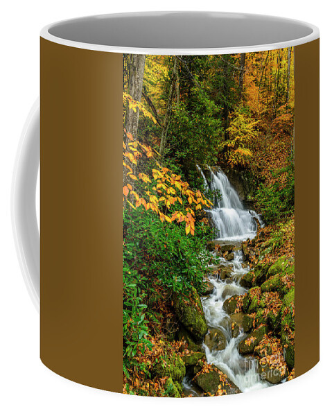 Waterfall Coffee Mug featuring the photograph Fall Color Back Fork Waterfall by Thomas R Fletcher