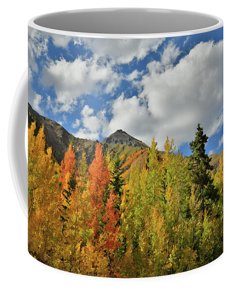 Colorado Coffee Mug featuring the photograph Fall Colored Aspens Bask in Sun at Red Mountain Pass by Ray Mathis