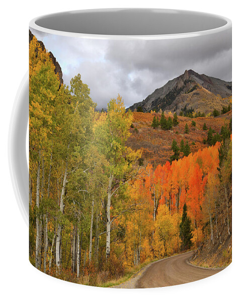 Colorado Coffee Mug featuring the photograph Fall Colors along Winding Last Dollar Road by Ray Mathis