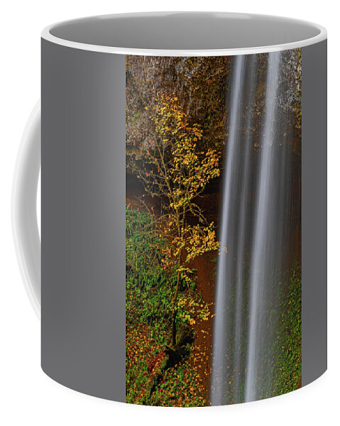 Shellburg Falls Coffee Mug featuring the photograph Fall colors in the shadow of the falls by Ulrich Burkhalter