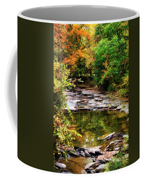 Fall Coffee Mug featuring the photograph Fall Creek by Christina Rollo