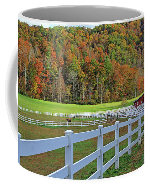 Fall Coffee Mug featuring the photograph Fall in North Georgia by Richard Krebs