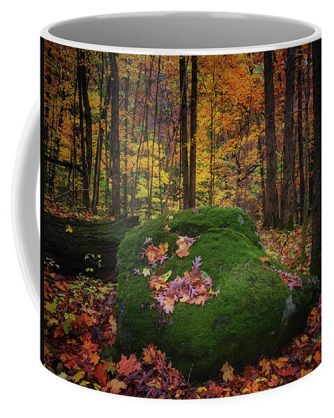 Fall Coffee Mug featuring the photograph Fall in The Potholes by Virginia Folkman