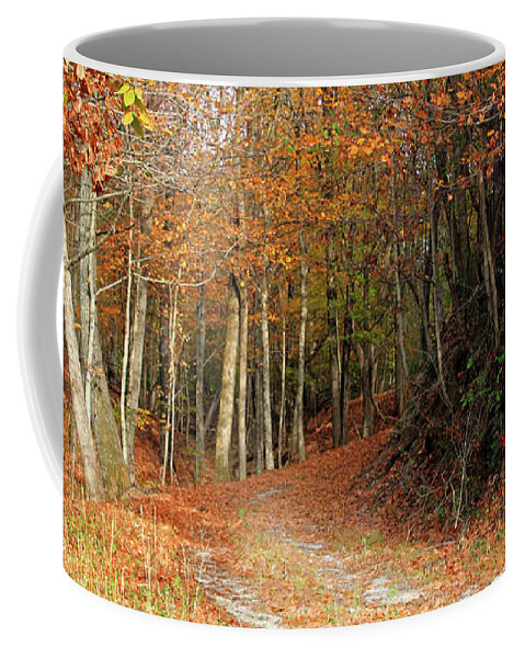 Fall Leaves On Path Coffee Mug featuring the photograph Fall Leaves on Path by Angela Murdock