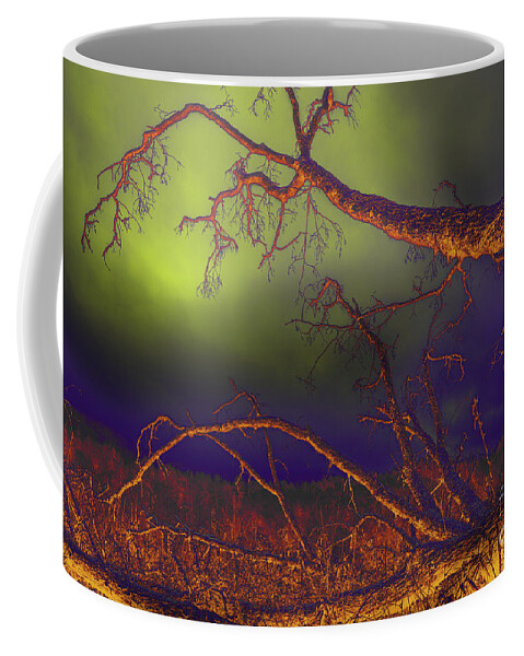 Tree Coffee Mug featuring the photograph Fallen Tree by Mike Eingle