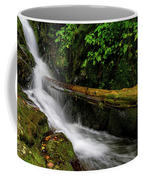 Waterfall Coffee Mug featuring the photograph Fallen Tree Waterfall by William Dickman