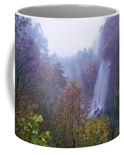 Fog Coffee Mug featuring the photograph Falling Springs Falls 2 by Nunweiler Photography