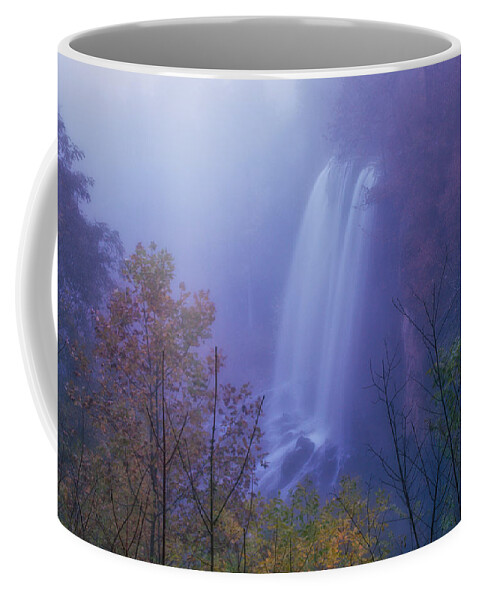 Fog Coffee Mug featuring the photograph Falling Springs Falls by Nunweiler Photography