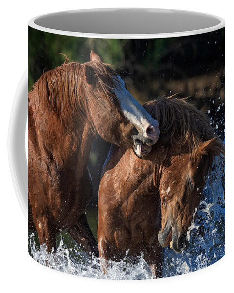 Stallion Coffee Mug featuring the photograph Family Feud. by Paul Martin