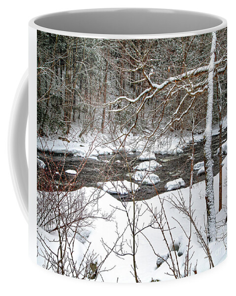Farmington River Coffee Mug featuring the photograph Farmington River - Northern Section by Tom Cameron