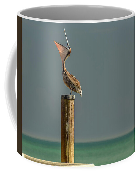 Key West Florida Coffee Mug featuring the photograph Feed Me by Norman Peay