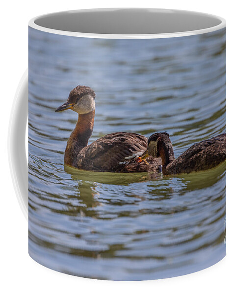Photography Coffee Mug featuring the photograph Feeding Time by Alma Danison
