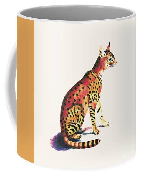 Cat Coffee Mug featuring the photograph Felis Ornata by Jack Torcello