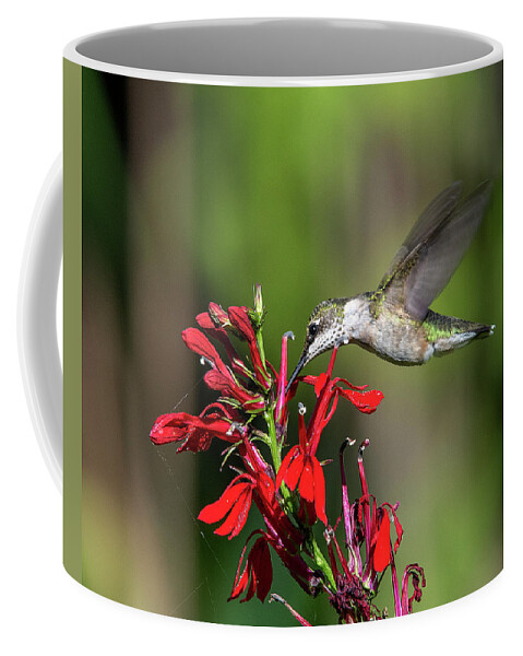 Nature Coffee Mug featuring the photograph Female Ruby-throated Hummingbird DSB0319 by Gerry Gantt