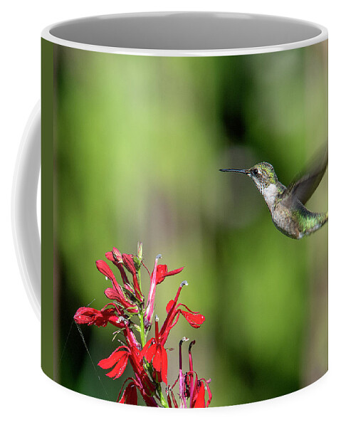 Nature Coffee Mug featuring the photograph Female Ruby-throated Hummingbird DSB0320 by Gerry Gantt