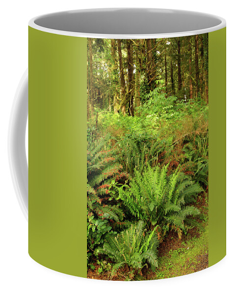 Coast Coffee Mug featuring the photograph Ferns along a coastal forest trail by Steve Estvanik
