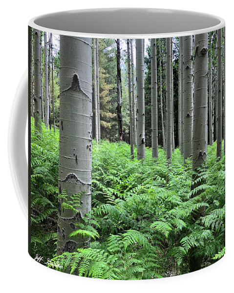 Arizona Coffee Mug featuring the photograph Ferns in an Aspen Grove by Jeff Goulden