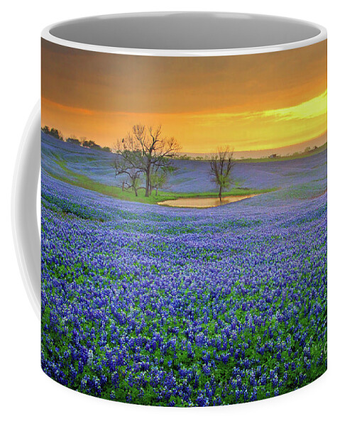 Texas Bluebonnets Coffee Mug featuring the photograph Field of Dreams Texas Sunset - Texas Bluebonnet wildflowers landscape flowers by Jon Holiday