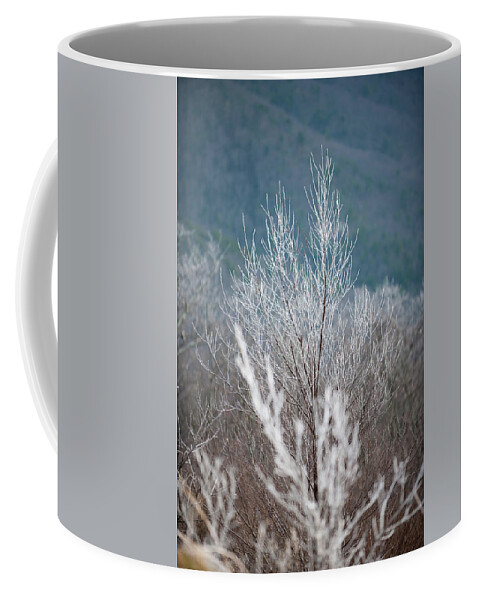 Blue Ridge Coffee Mug featuring the photograph Fingers of Hoarfrost by Mark Duehmig