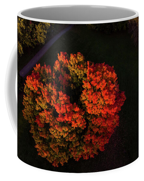 Autumn Coffee Mug featuring the photograph Fire Tree by Mircea Costina Photography