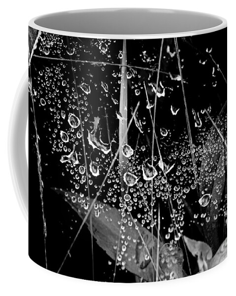 Dew Coffee Mug featuring the photograph First Dewfall by Debra Banks