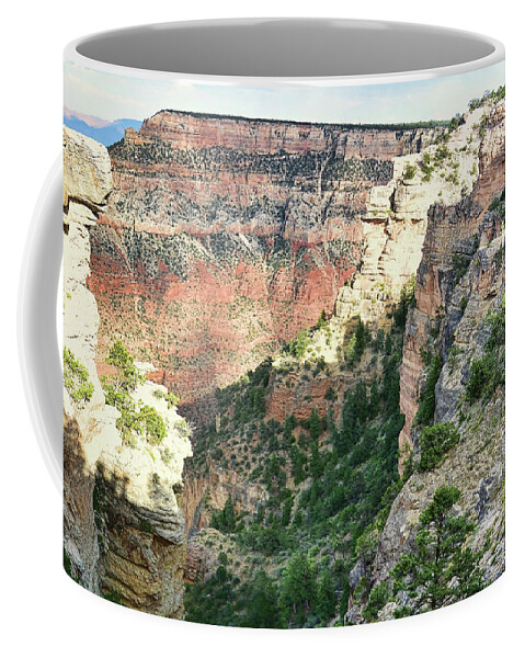 Top Seller Coffee Mug featuring the photograph First View by Paulette B Wright