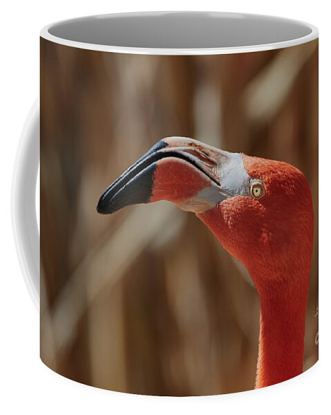 Flamingo Coffee Mug featuring the photograph Flamingo Profile by Robert WK Clark
