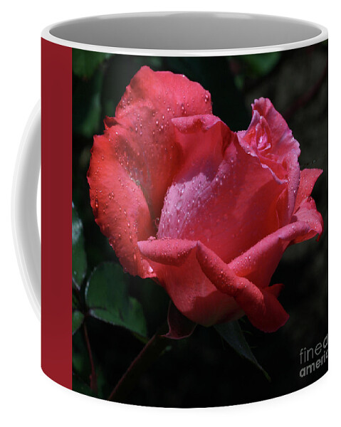 Rose Coffee Mug featuring the photograph Flasher by Doug Norkum