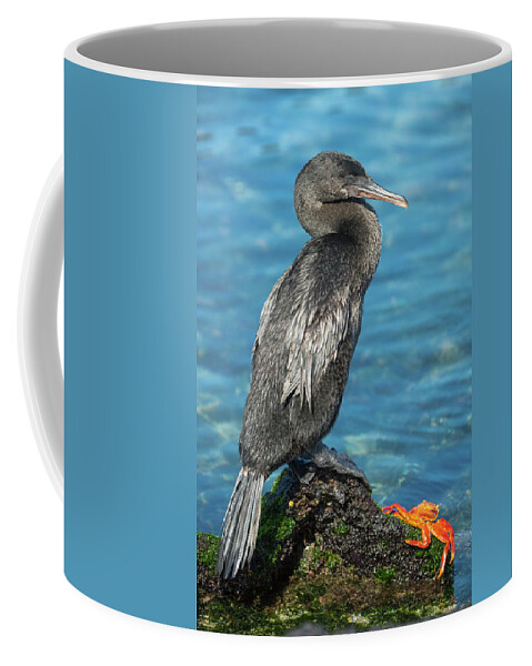 Animals Coffee Mug featuring the photograph Flightless Cormorant And Sally Lightfoot by Tui De Roy