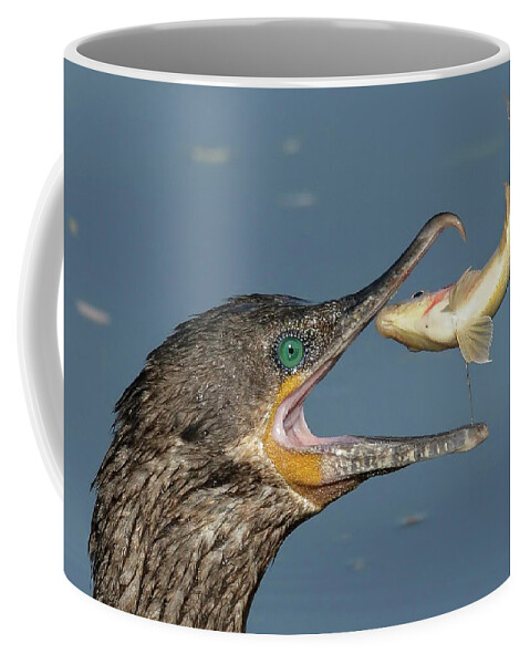 Cormorant Coffee Mug featuring the photograph Flipping Fish. by Paul Martin