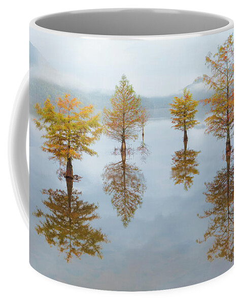 Carolina Coffee Mug featuring the photograph Floating Into Fall by Debra and Dave Vanderlaan