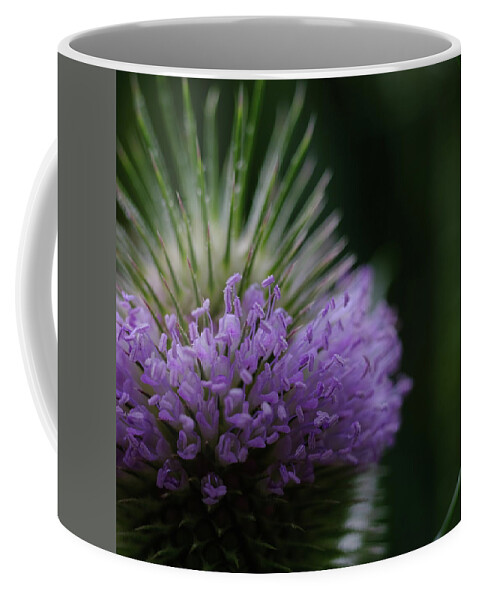 Nature Coffee Mug featuring the photograph Flower crown by Jessica Myscofski