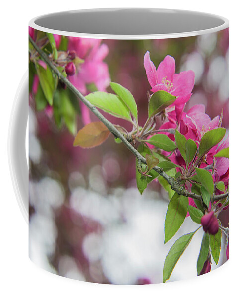 Flowers Coffee Mug featuring the photograph Flower divider by Agnes Caruso