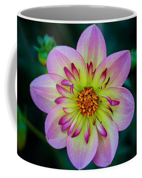 Flower Coffee Mug featuring the photograph Flower 3 by Anamar Pictures