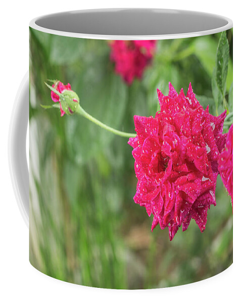 Flower Coffee Mug featuring the photograph Flower Season Blooms by Mangge Totok