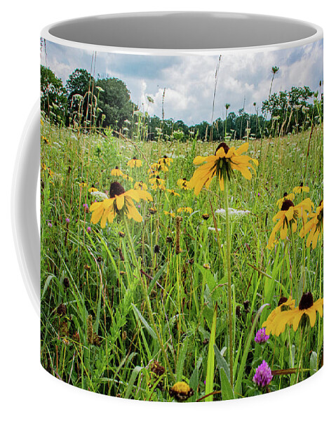 Clover Coffee Mug featuring the photograph Flowers of the Field, Cades Cove by Marcy Wielfaert