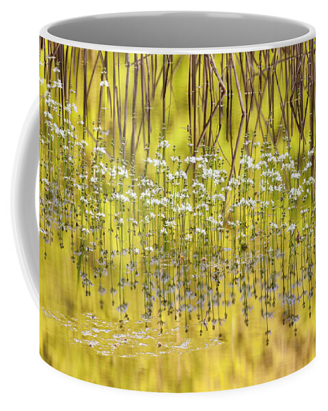 Estock Coffee Mug featuring the digital art Flowers On Lake, Italy by Riccardo Rimondi