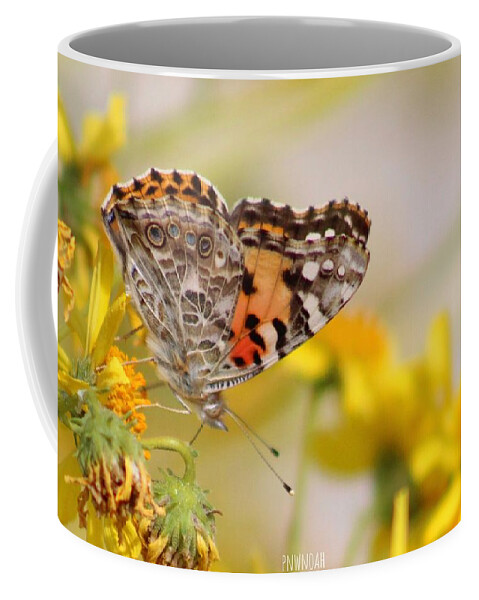 Flower Coffee Mug featuring the photograph Fly by Noah Mahlon