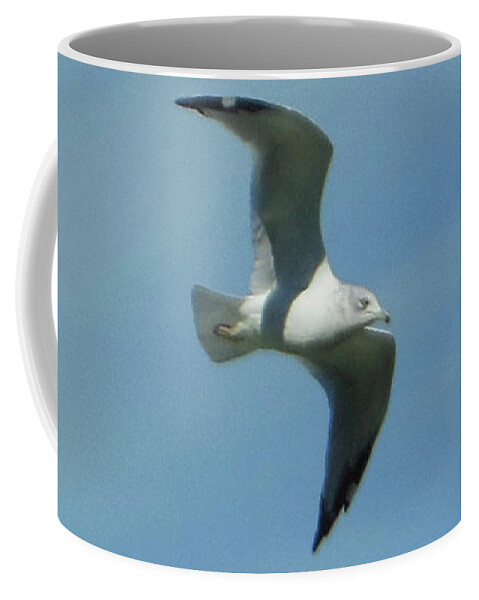 Flying Seagull Coffee Mug featuring the photograph Flying Seagull by Rockin Docks