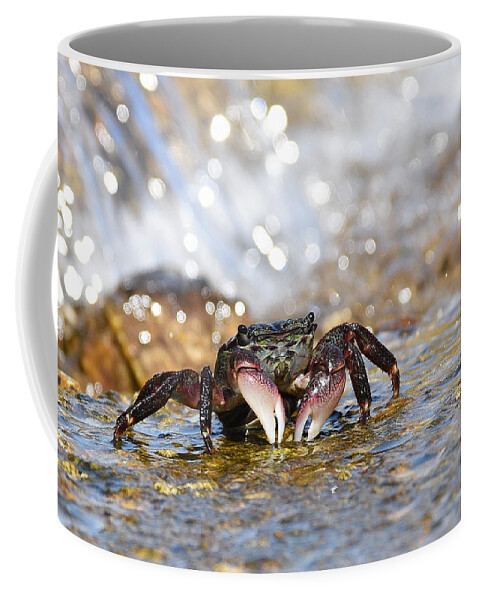 Crab Coffee Mug featuring the photograph Foam by Fraida Gutovich