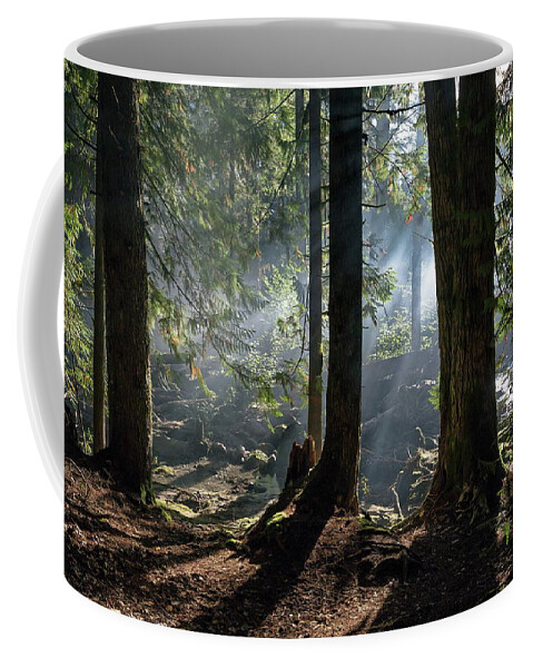 Alex Lyubar Coffee Mug featuring the photograph Foggy morning in the forest by Alex Lyubar
