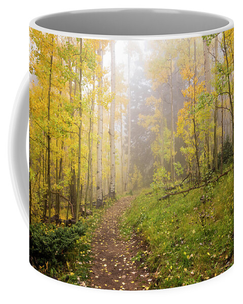 Aspen Coffee Mug featuring the photograph Foggy Winsor Trail Aspens In Autumn 2 - Santa Fe National Forest New Mexico by Brian Harig