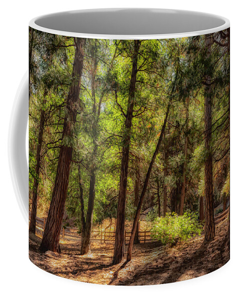 Pines Coffee Mug featuring the photograph Forest Light II by Alison Frank